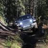 chuck_jacobson